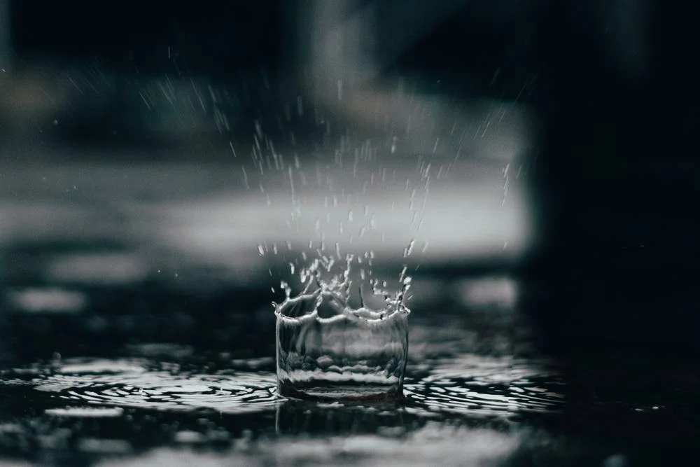 在下雨的天气里,你喝酒了吗