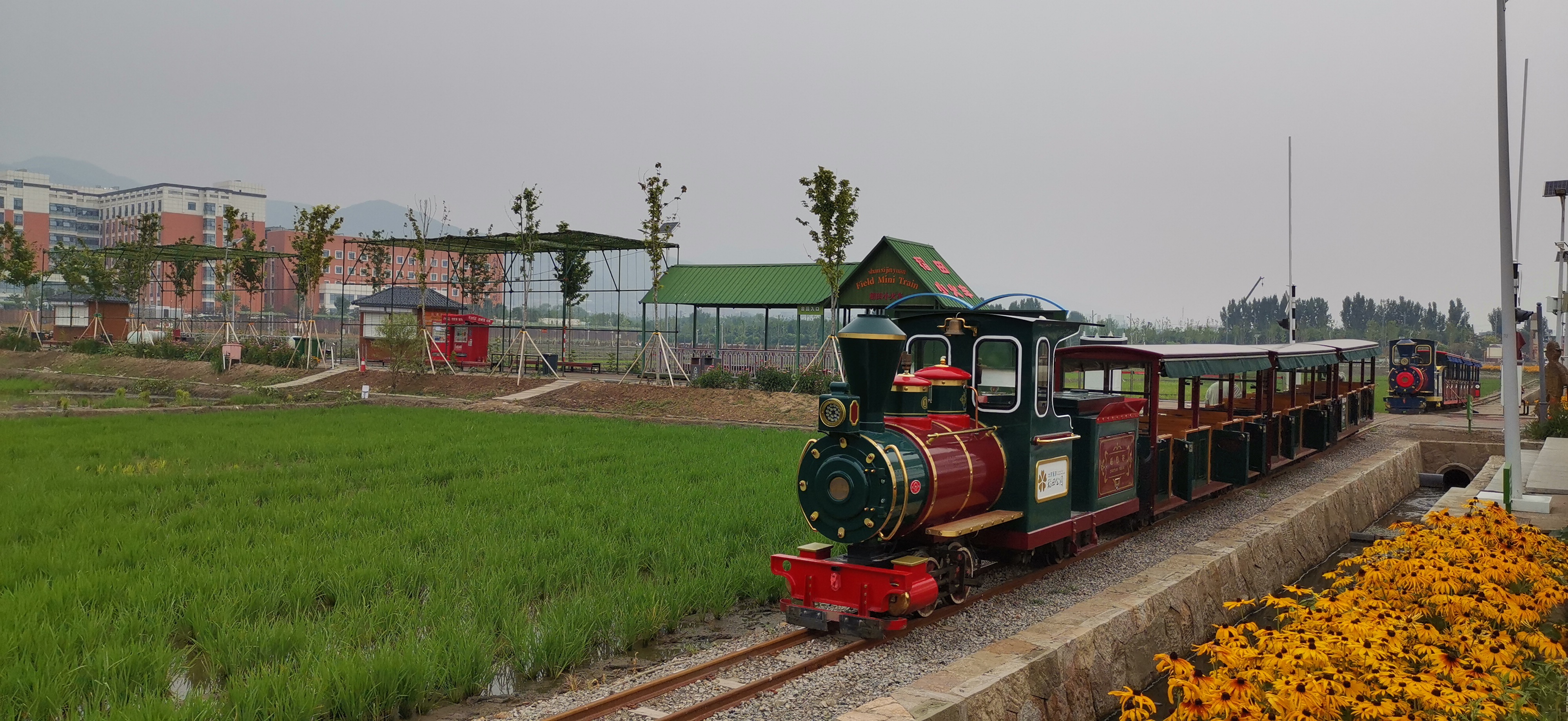 太原晋祠,稻田公园旅游观光