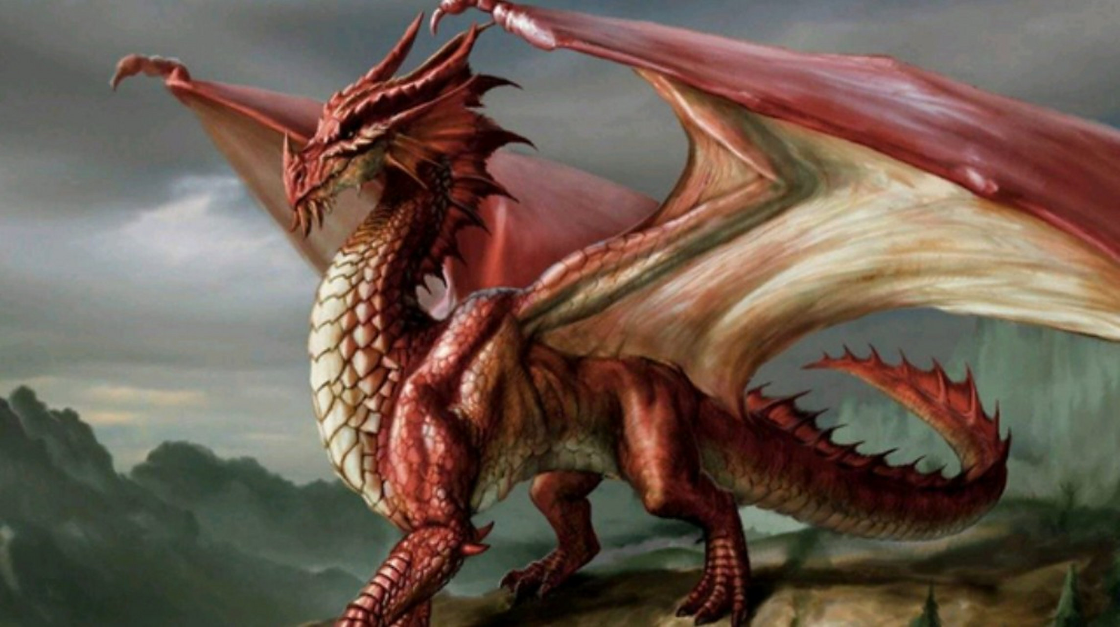 如果东方龙和西方龙打起来,你觉得谁才是最强的?