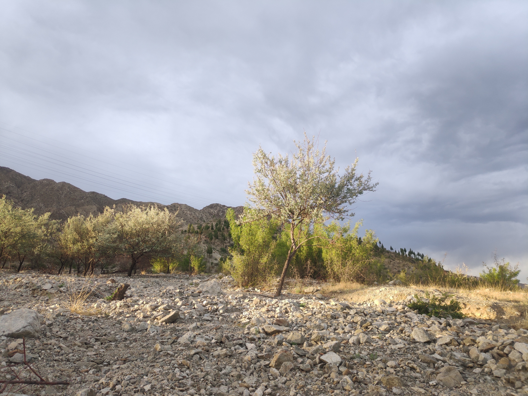 宁夏贺兰山荒凉的景观,即使夏天也看不到绿色植被