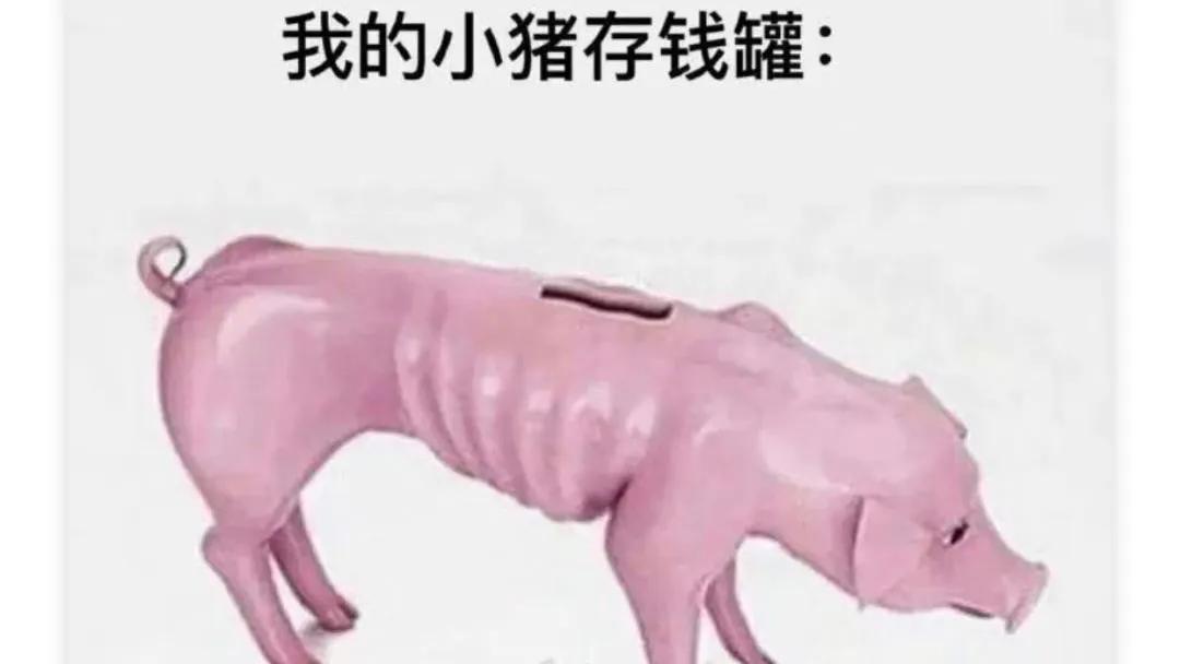 爆笑神评:电影里的特别演出是什么意思?