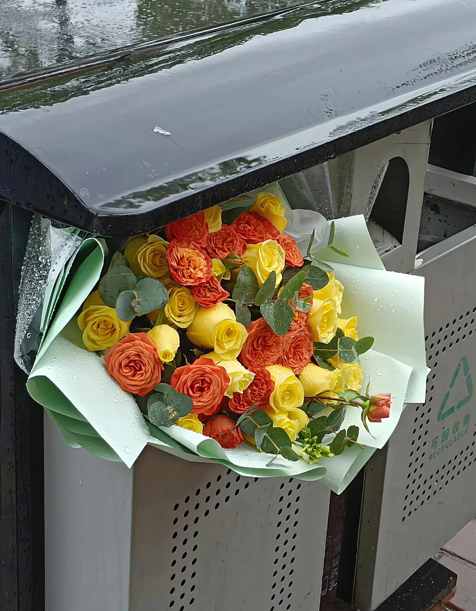 " 被扔在垃圾桶里的浪漫 " #温暖冬天一起过