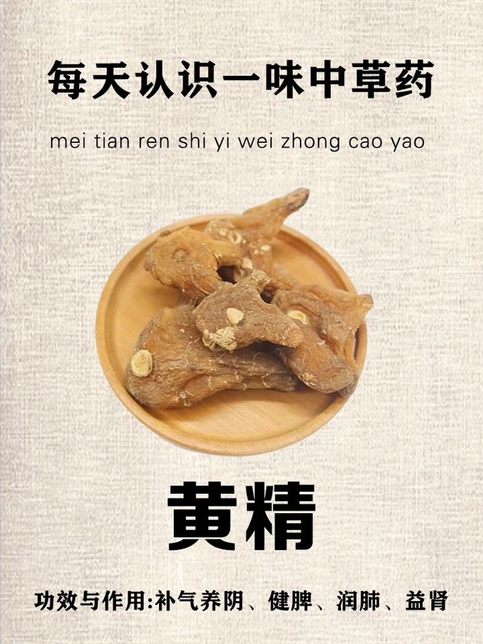 每日认识一味药材——黄精  黄精平补脾肾,健体强身的一味药 别名