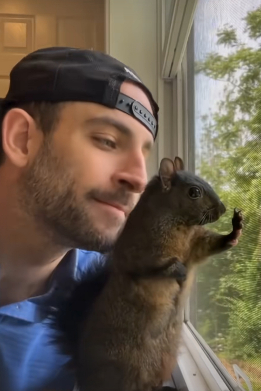 看着松鼠活泼的互动,是不是也想养一只?