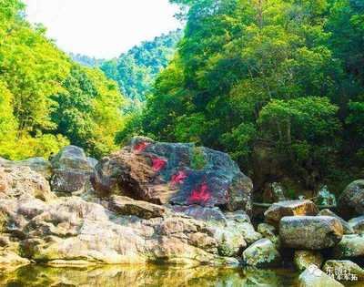广西防城港十万大山旅游攻略