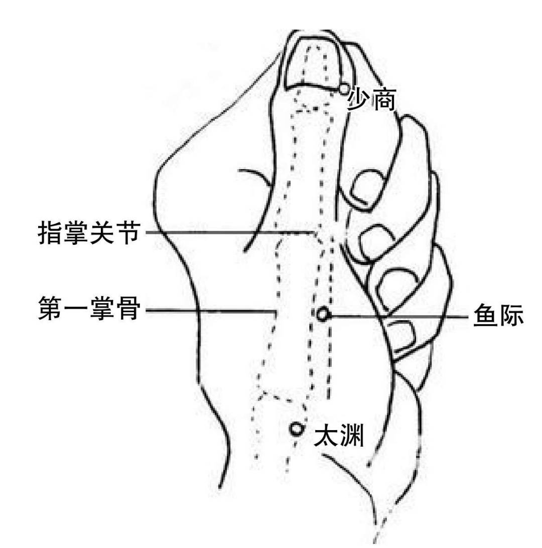 脚大鱼际位置图图片