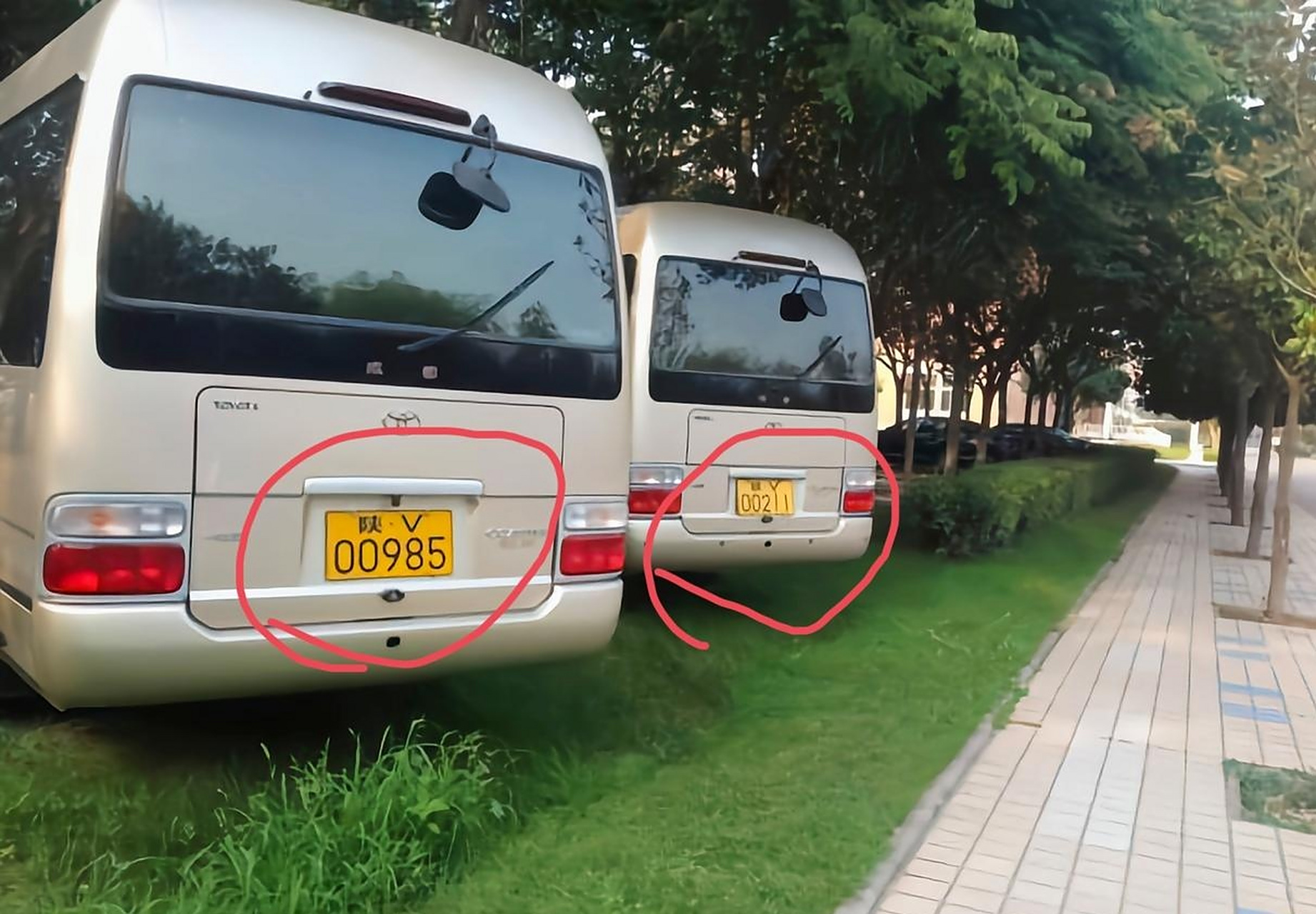 这学校的校车车牌有点意思啊