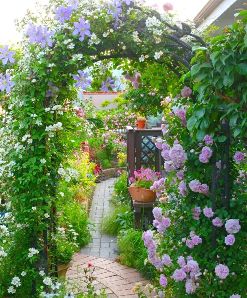 最美的花园小院 田园图片