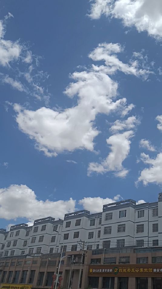 蓝蓝的天上白云飘,有一朵云彩像藏獒-度小视