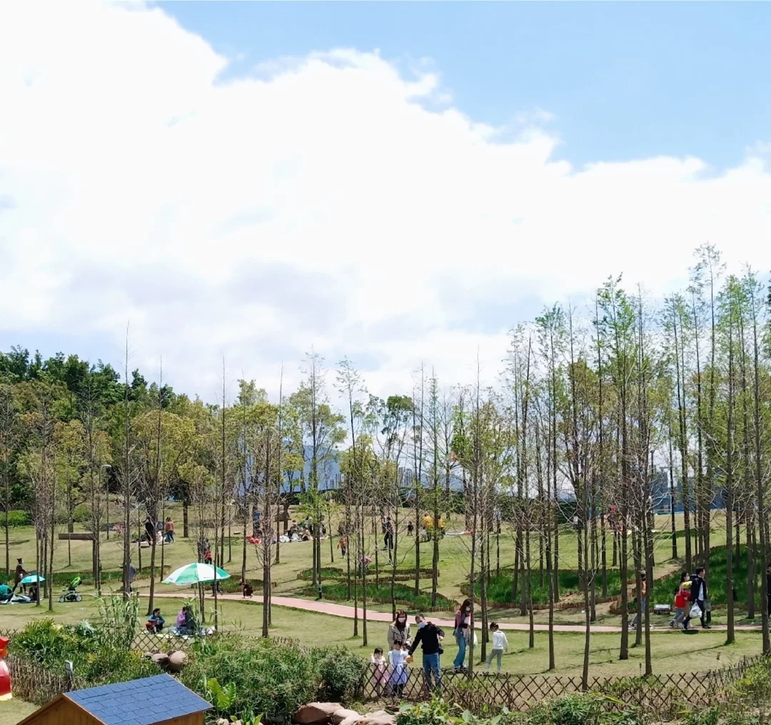 福州春天打卡好去處——牛崗山公園