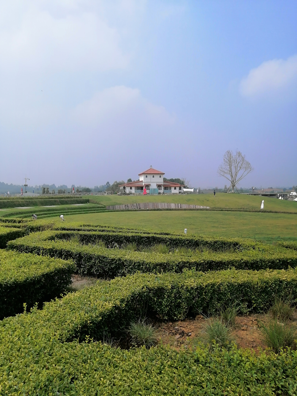 成都市双流区双流机场的空港花田免门票了,今天去玩,停车费10元.