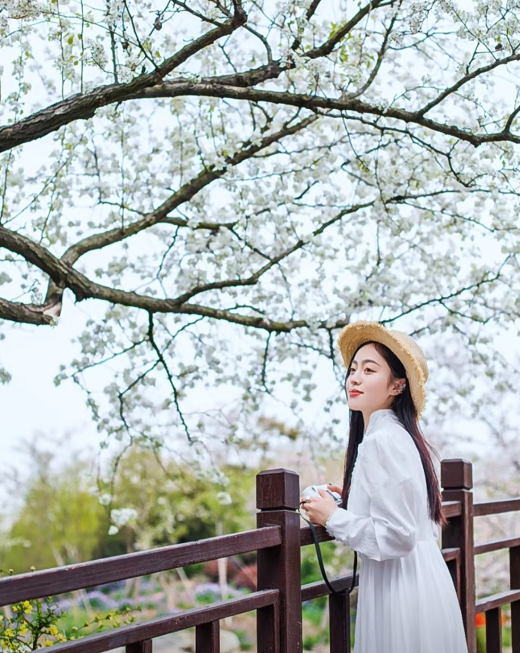 学会这三个动作,你也能在桥上拍出美美哒照片.