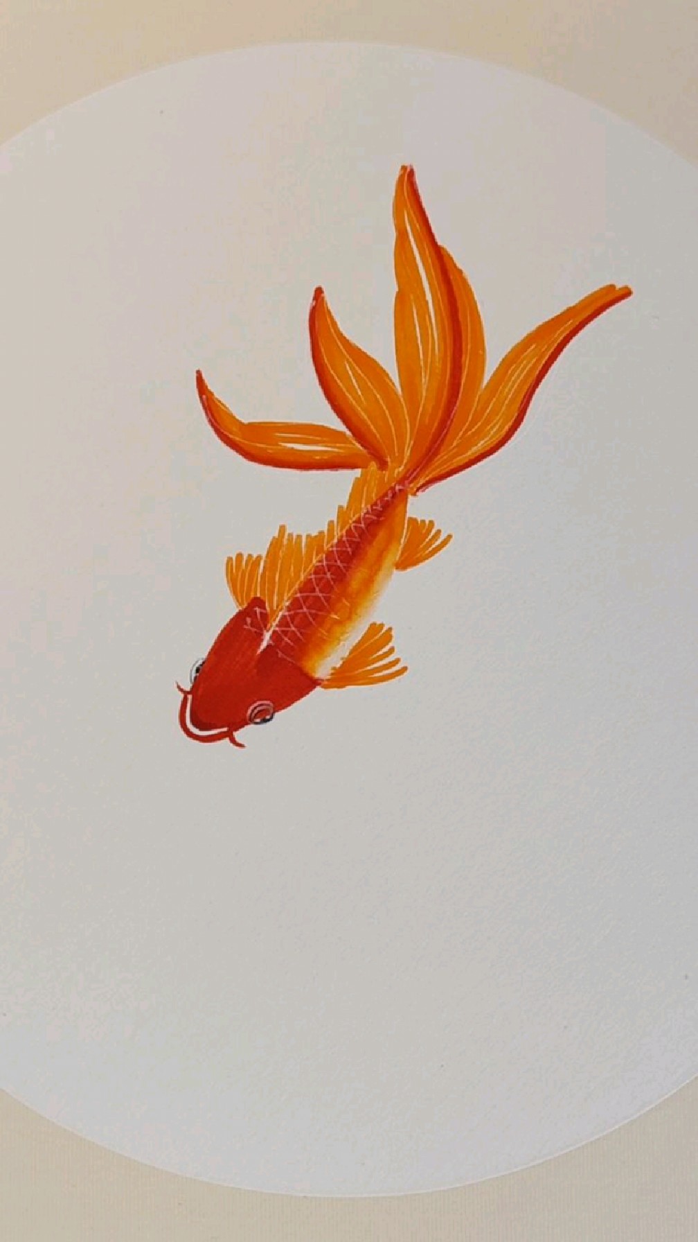 鱼马克笔画法图片