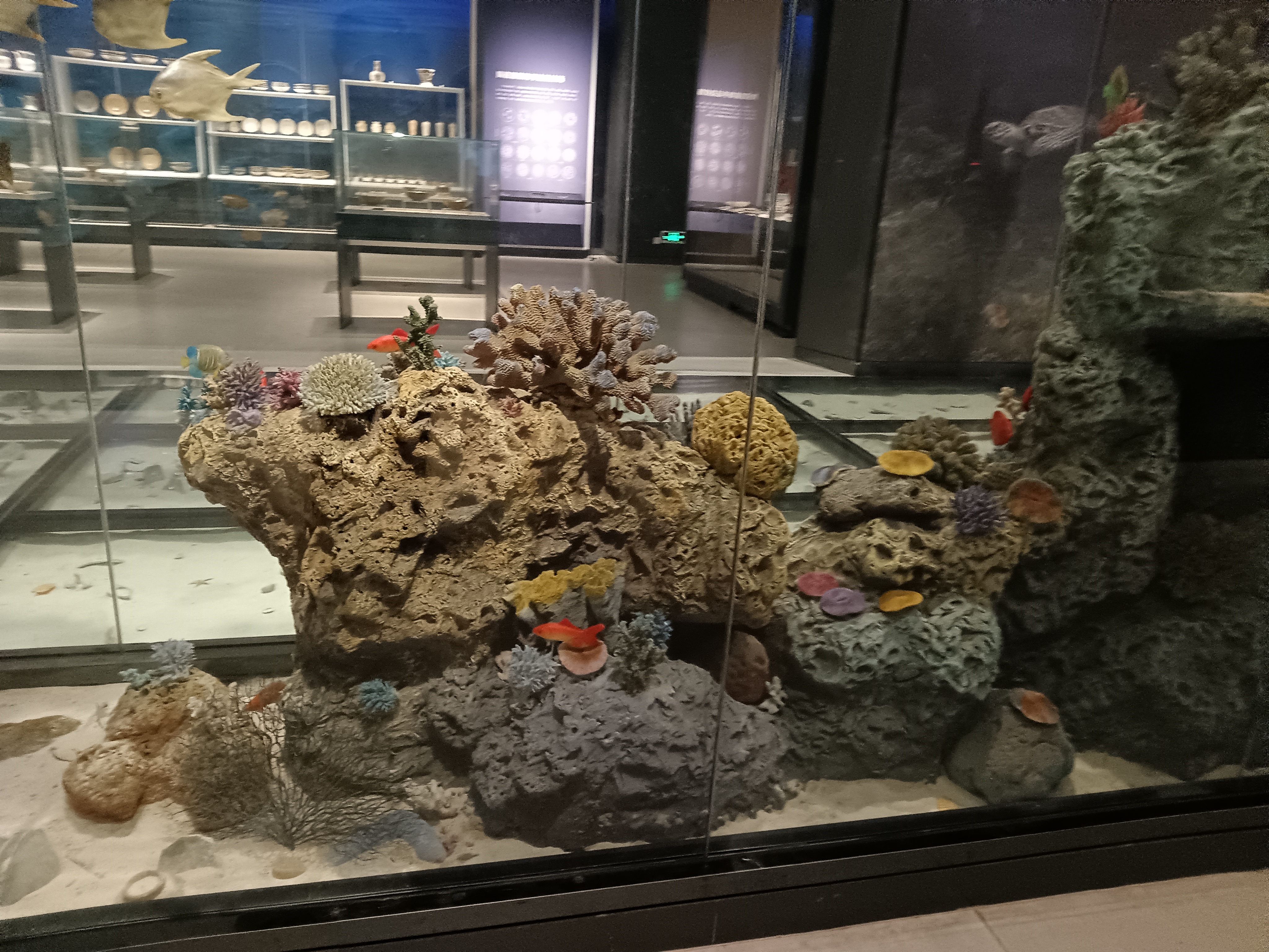 海南省博物馆海捞瓷文物展