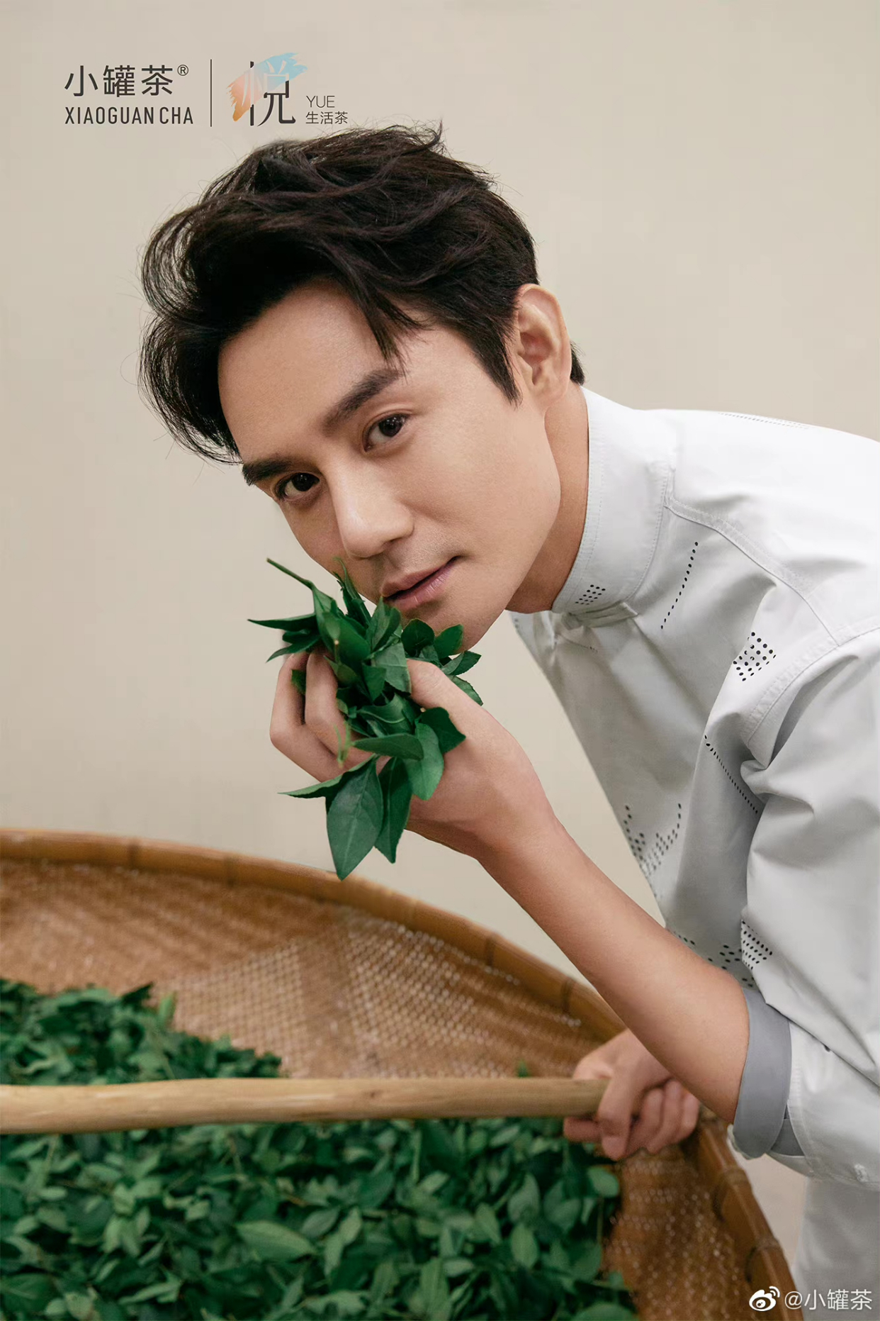 「王凯」小罐茶品牌代言人