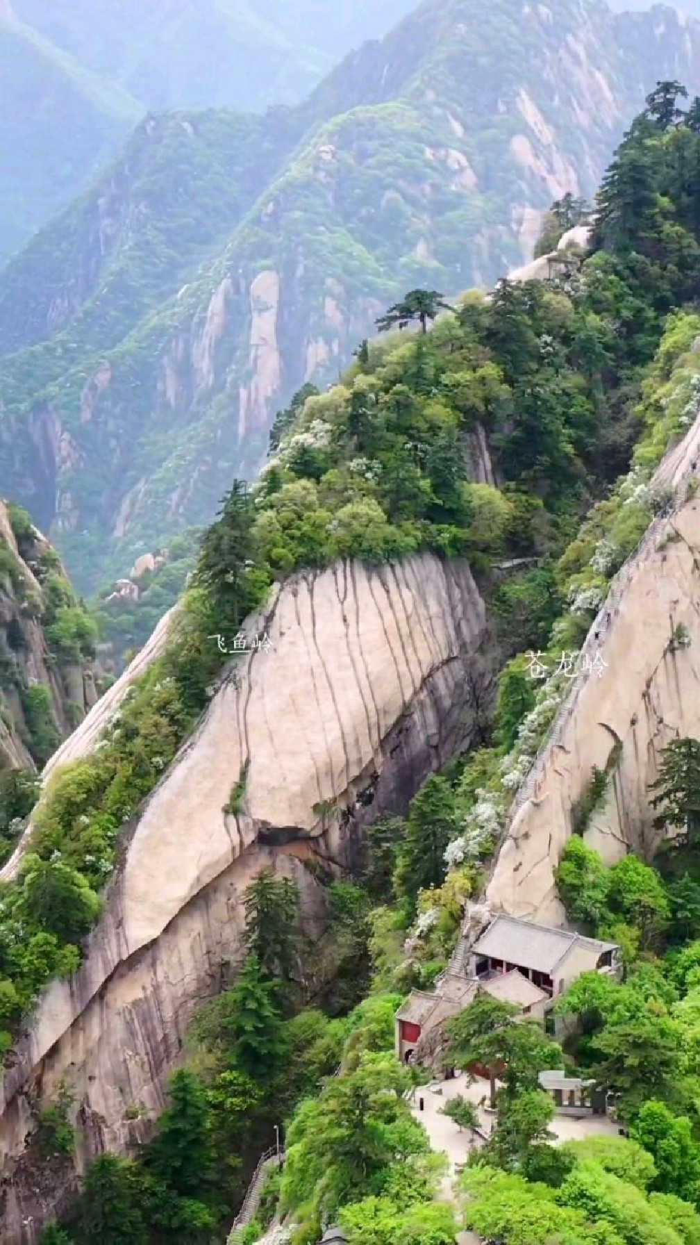 航拍华山苍龙岭,飞鱼岭,总有人翻山越岭为你而来