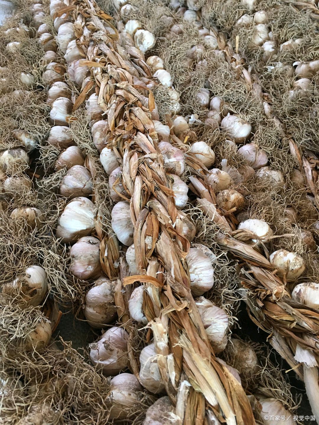 大蒜蒜片 - 热门商品专区