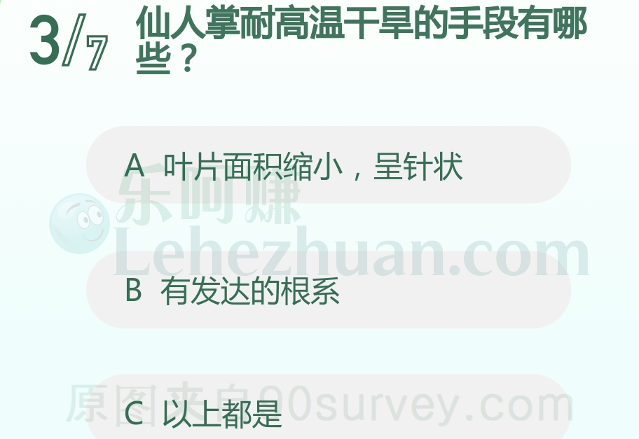 仙人掌针状的叶子发达的根系以耐高温干旱 仙人掌针状的叶子发达的根系以耐高温干旱
