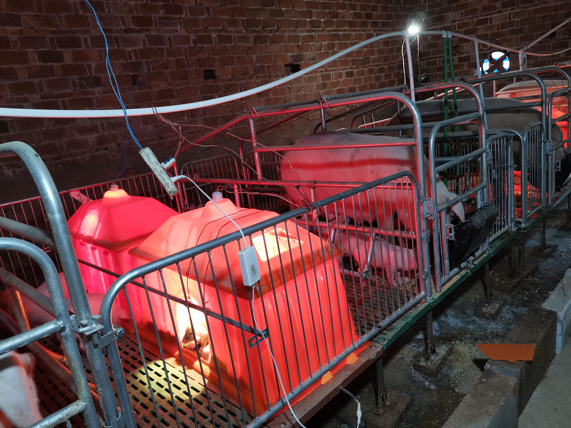 产仔栏 - 2020年最新商品信息聚合专区 - 百度爱采购