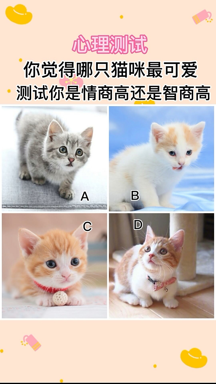 心理测试 你觉得哪只猫咪最可爱测试你是情商高还是智商高#心理测试