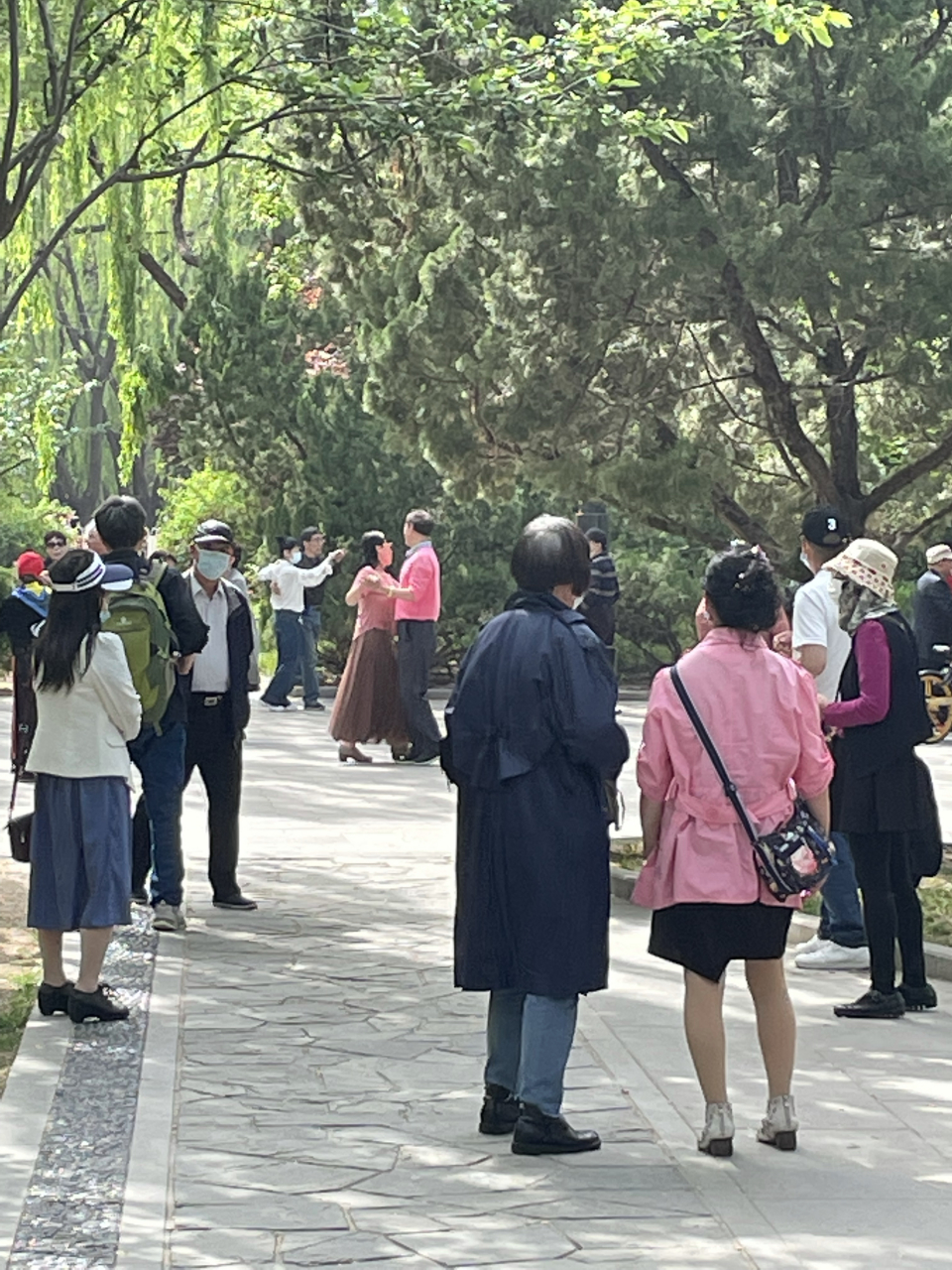 早就听说北京菖蒲河公园里有一个自发的中老年人"恋爱角",每周二,六