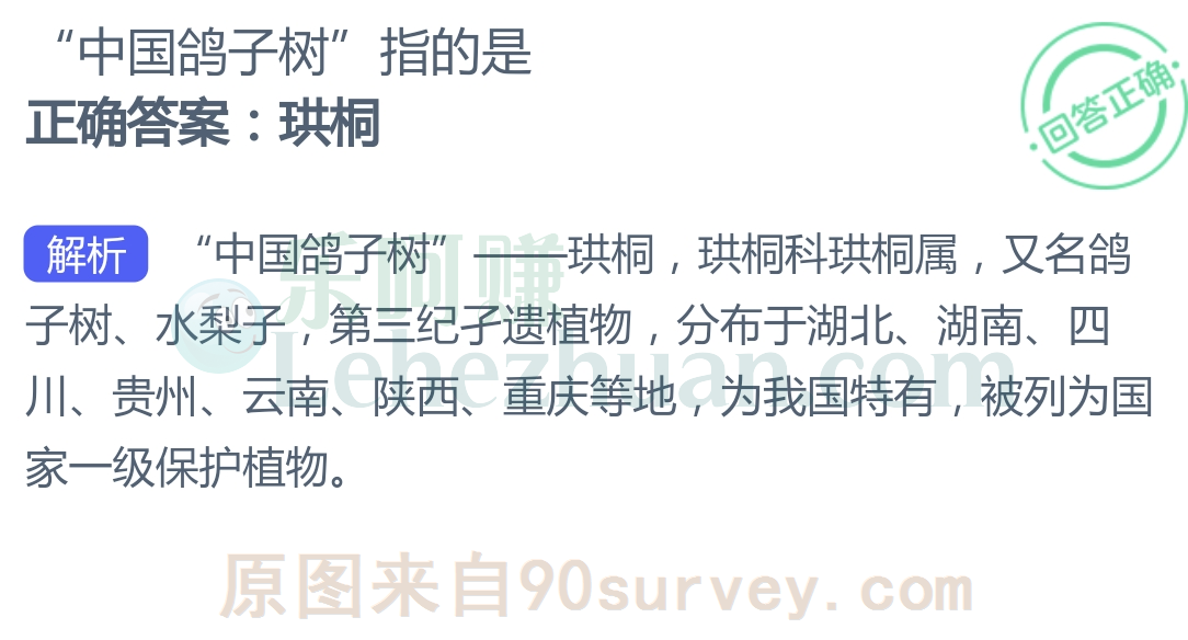 中国鸽子树指的是珙桐 中国鸽子树指的是珙桐