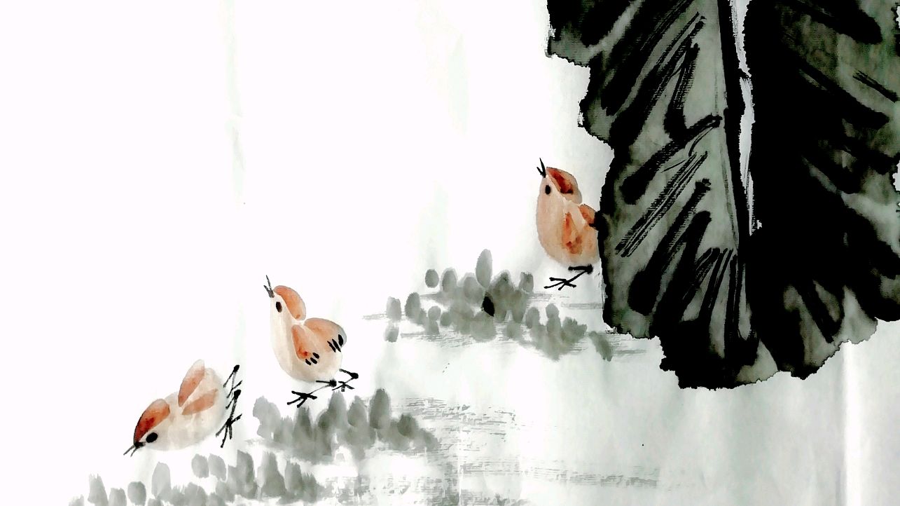 国画教程:芭蕉小鸡之画法之1