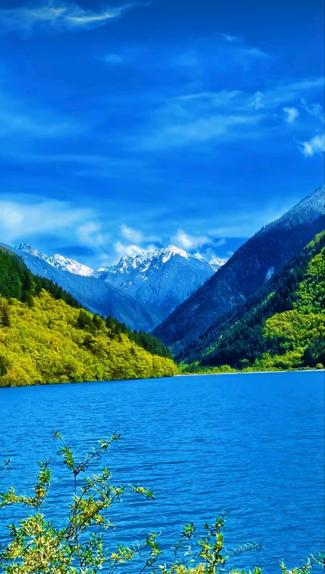 九寨沟风景 真实图片