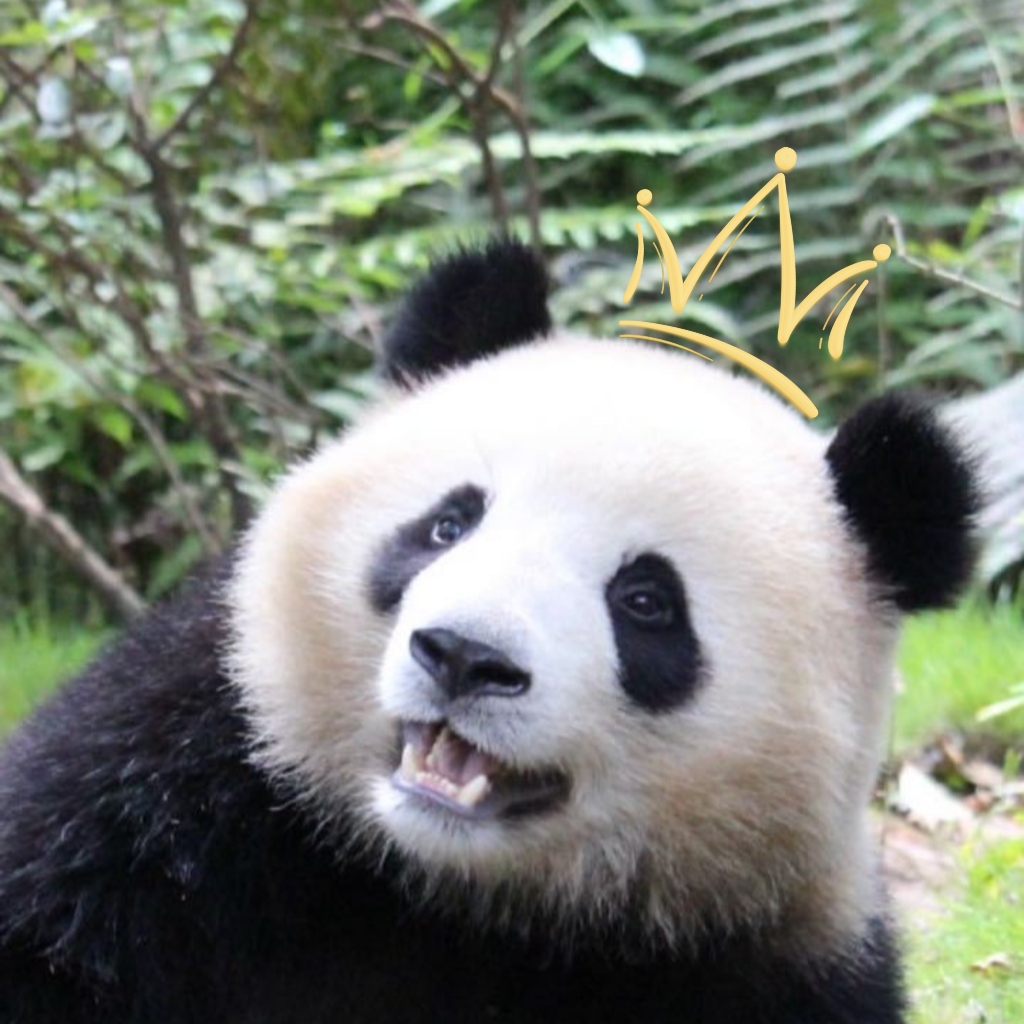 0701也是属于奇一,奇果的