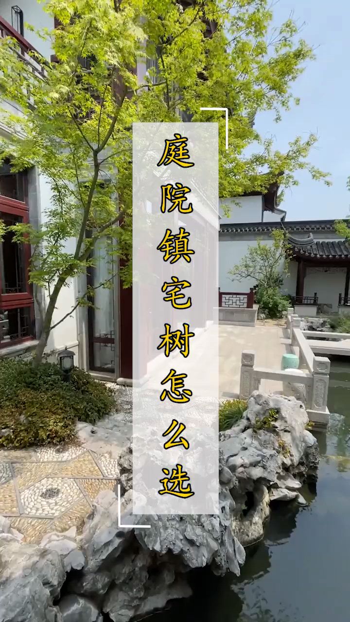 庭院种树有什么讲究来看看您种对了吗