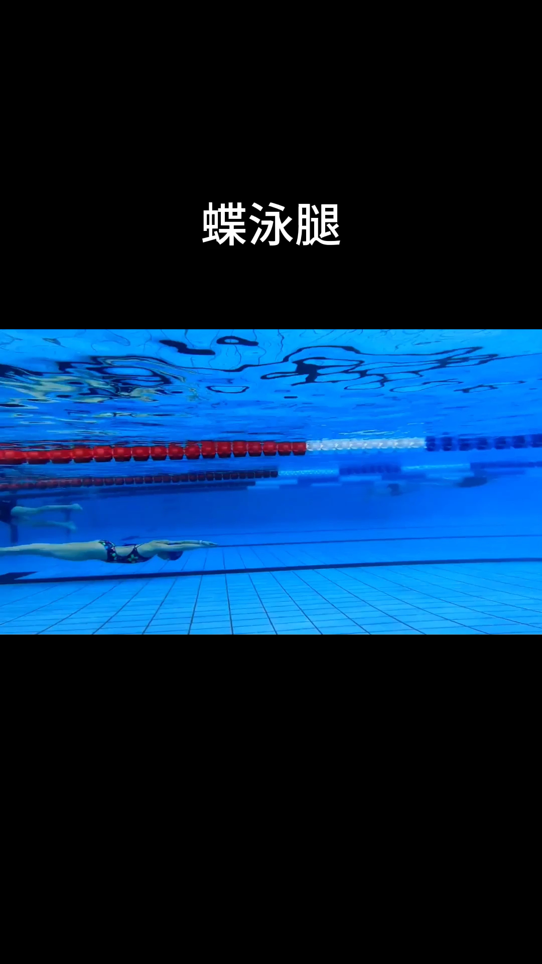 蝶泳腿水下练习