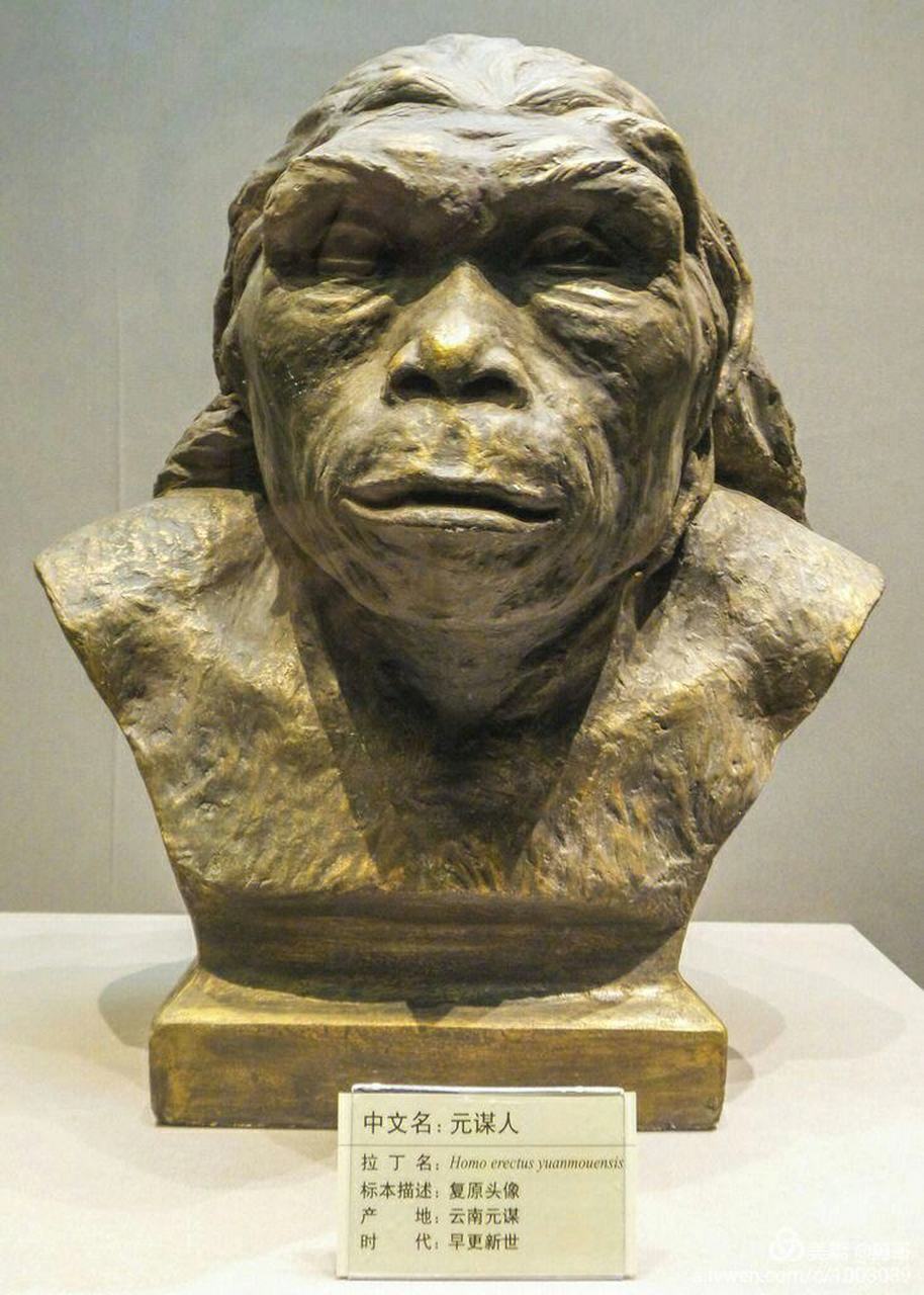 人类的演化进程经历了"南方古猿""直立人"和"智人"诸阶段而演化为