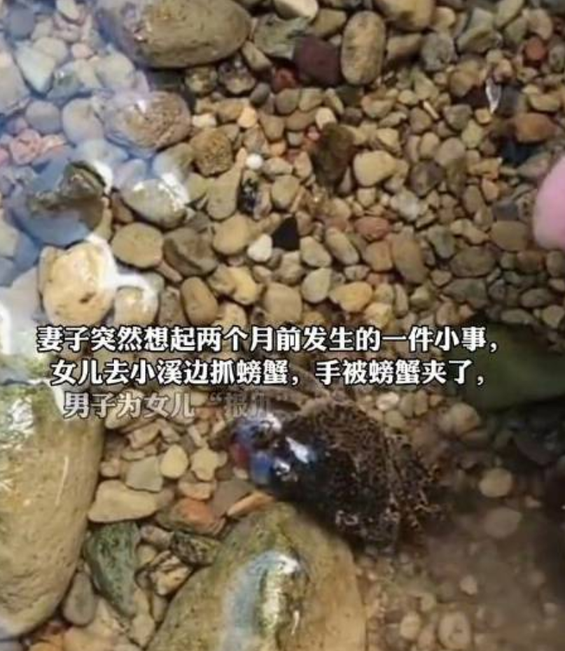 男子生吞小螃蟹感染寄生虫 网友：杀敌一百自损一万