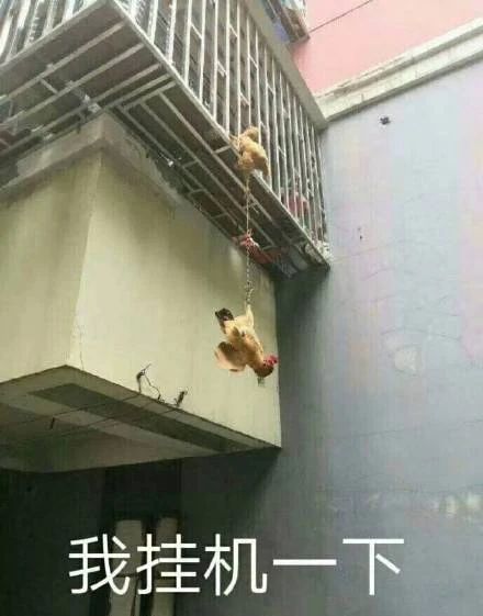 搞笑表情包拿图片:我挂下鸡,说啥呢,我没听清