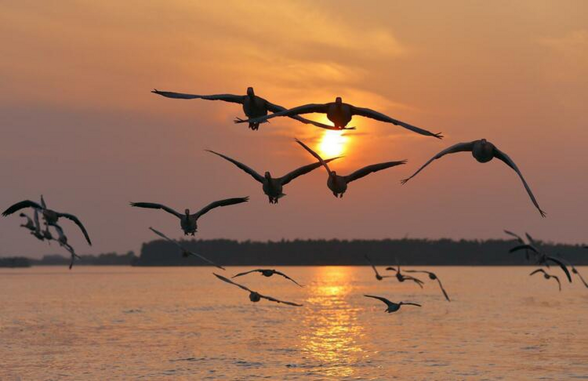 "落霞与孤鹜齐飞,秋水共长天一色",到底是怎样一种唯美的画面?