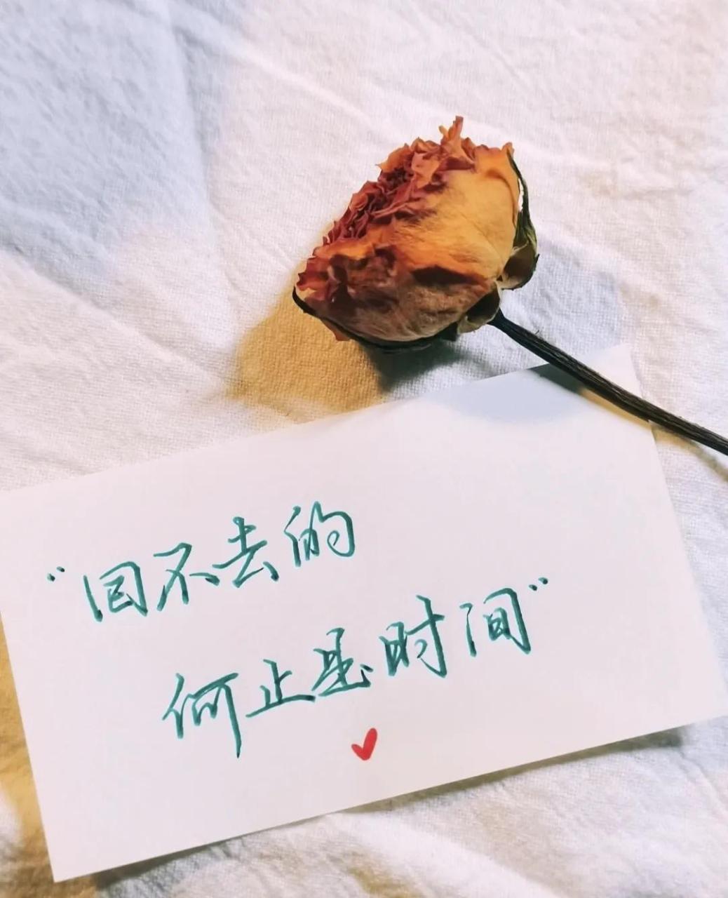 治愈短文,看透不说透的句子!