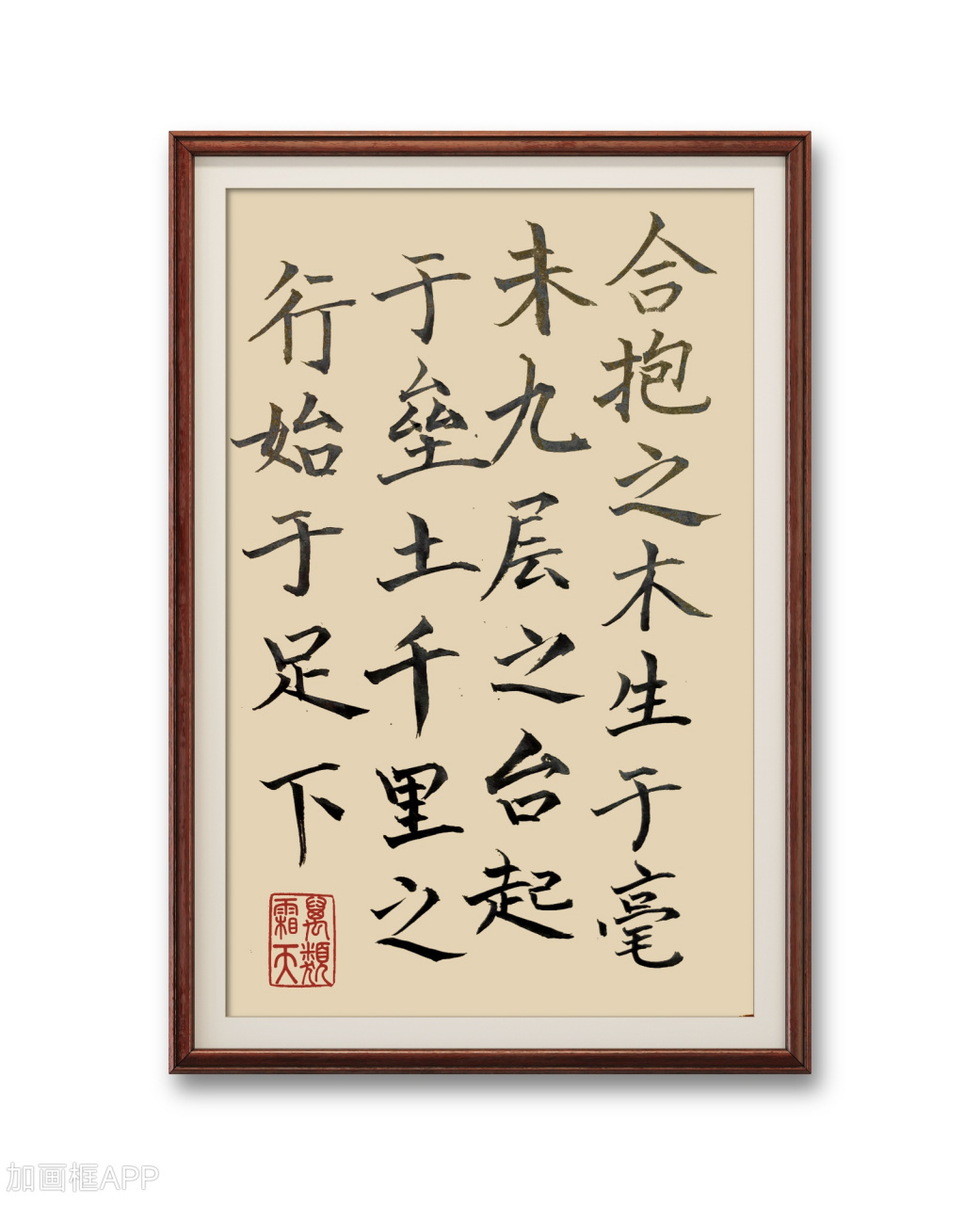 合抱之木,生于毫末;九层之台,起于累土;千里之行,始于足下.