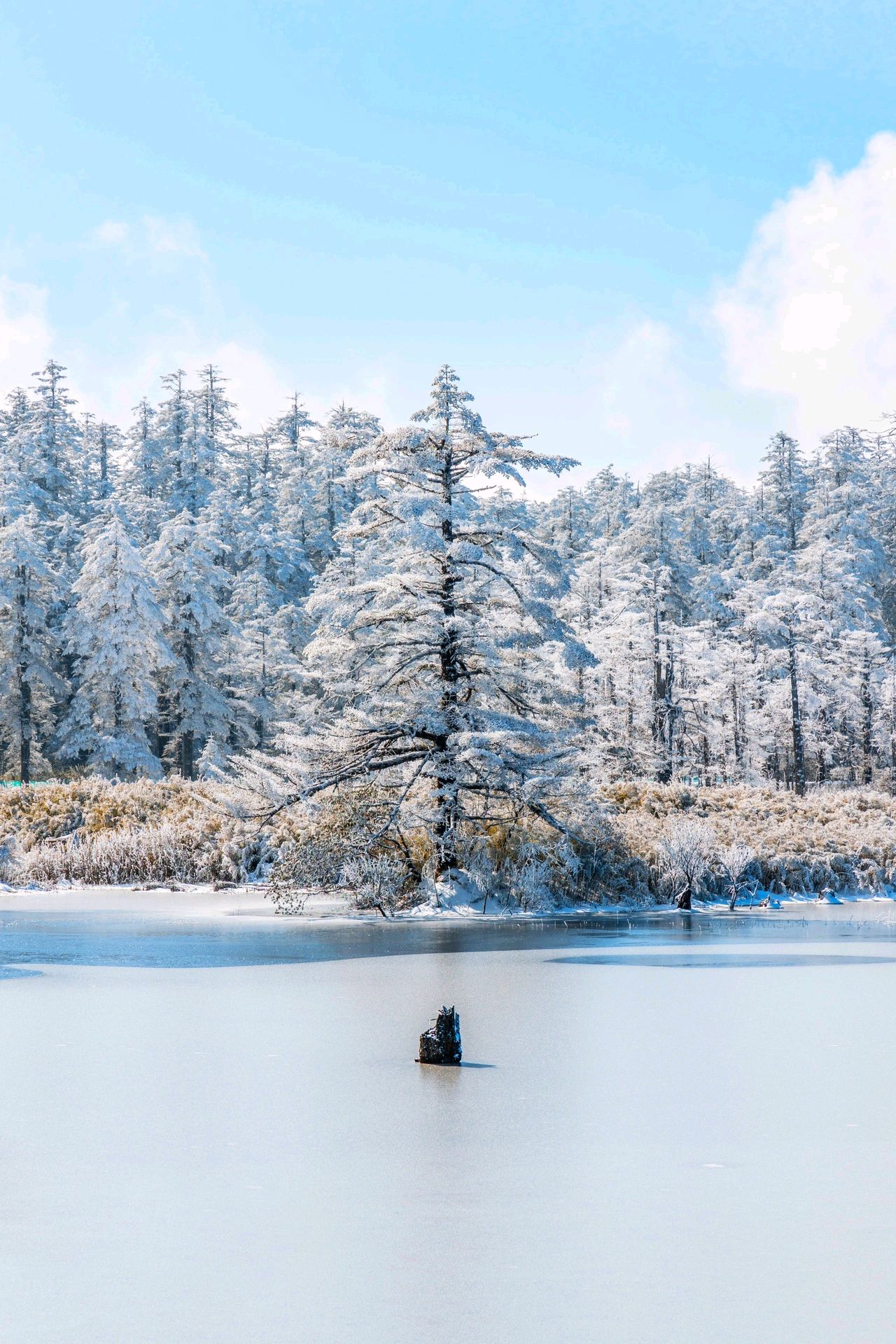 瓦屋山雪景探秘:四川森林公园的冰雪奇遇之旅