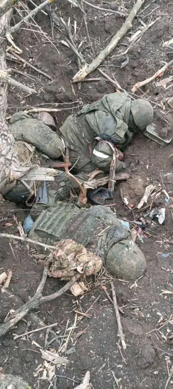 俄乌战场实在是太惨了,士兵在树林中被炮弹炸起的
