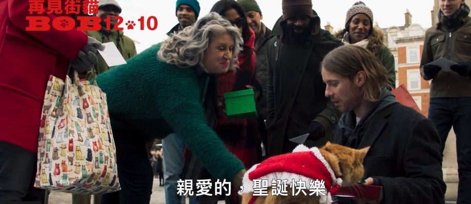 《再见街猫BOB》我这个人很简单，有猫能撸我就能活下去