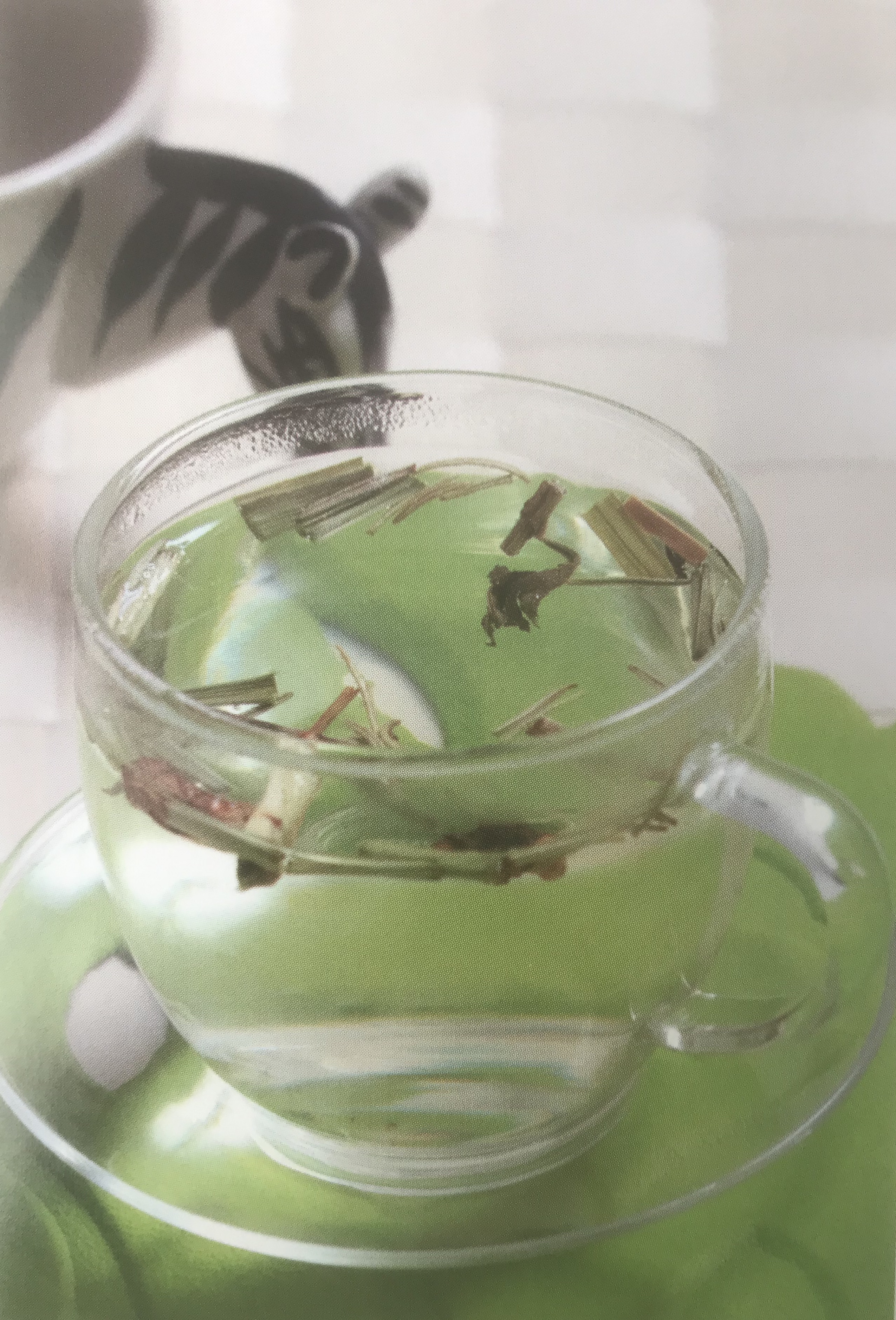 减肥瘦腿花草茶