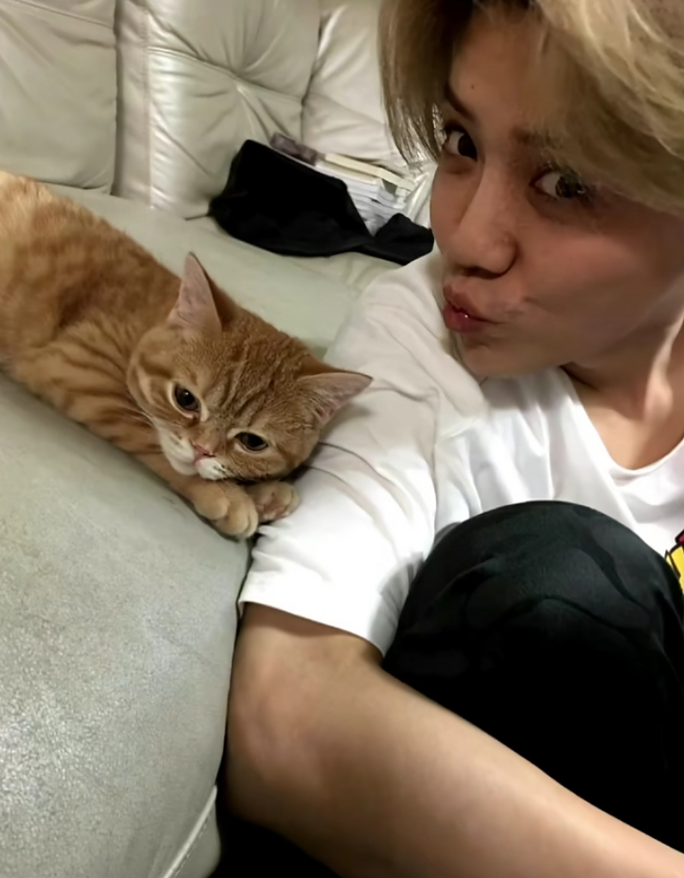 一张图证明:鹿晗喜欢小猫,感觉娱乐圈很多男明星都非常喜欢小猫,或者