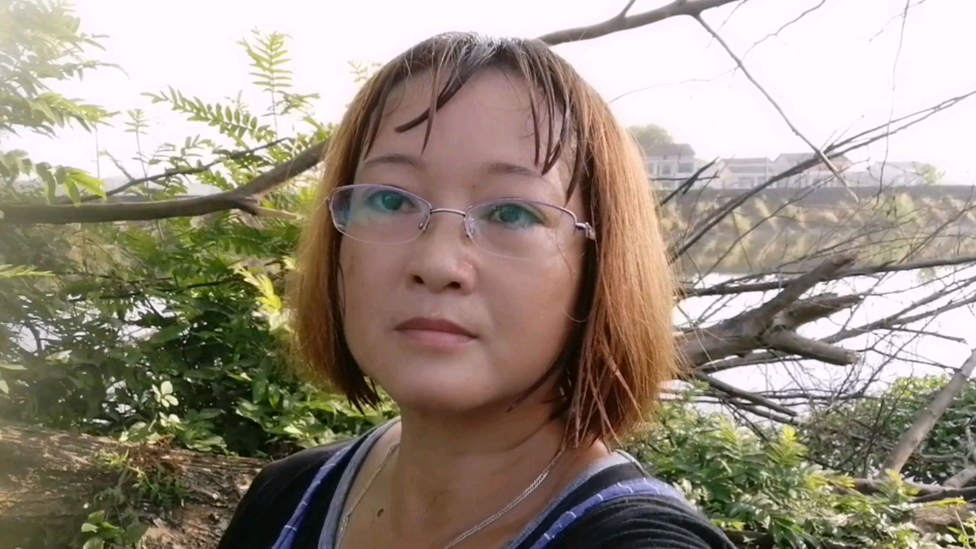 到河边捞水葫芦,看到了一颗树灵芝真是意外收获