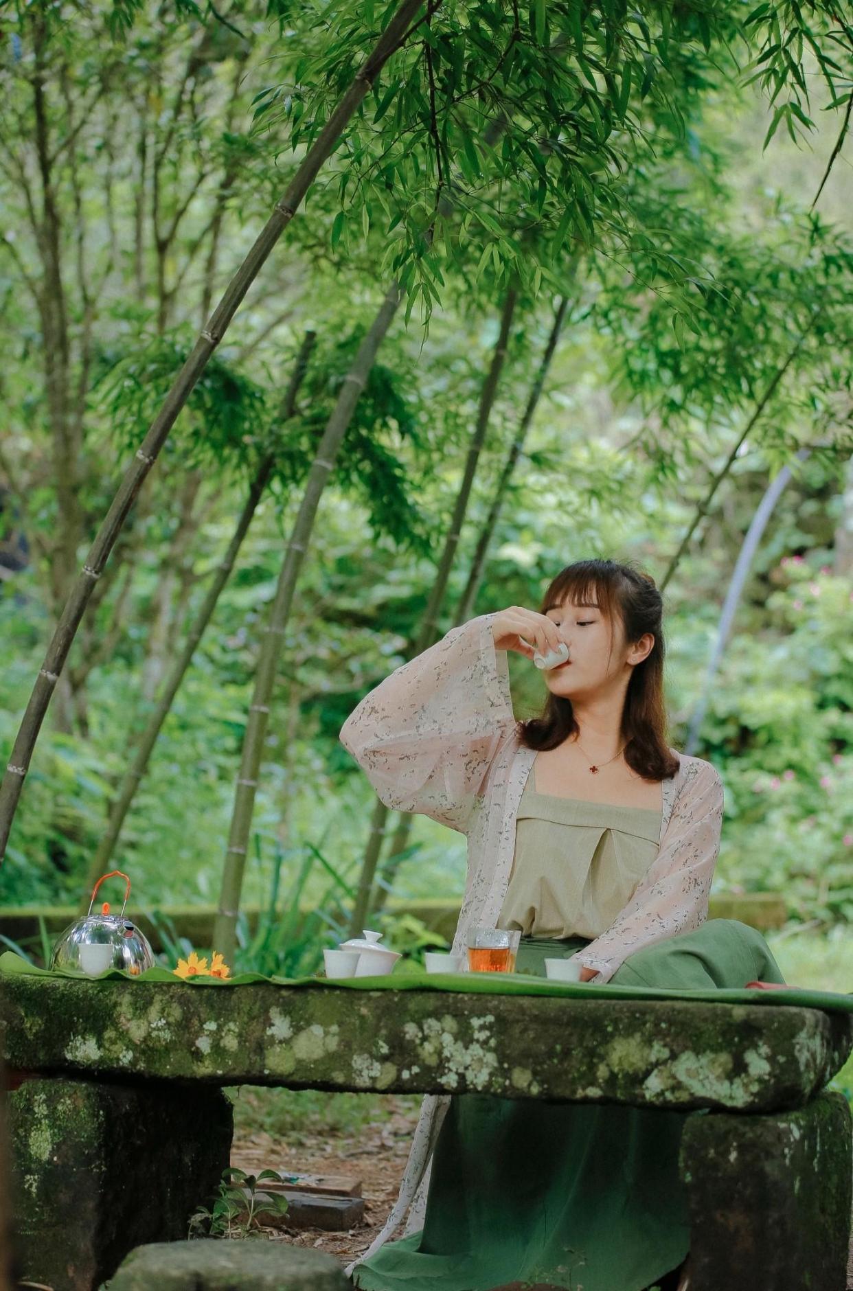 竹林摆茶席,一杯香茗宁静淡然