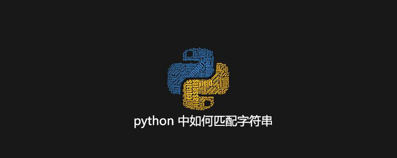 如何在python中匹配字符串