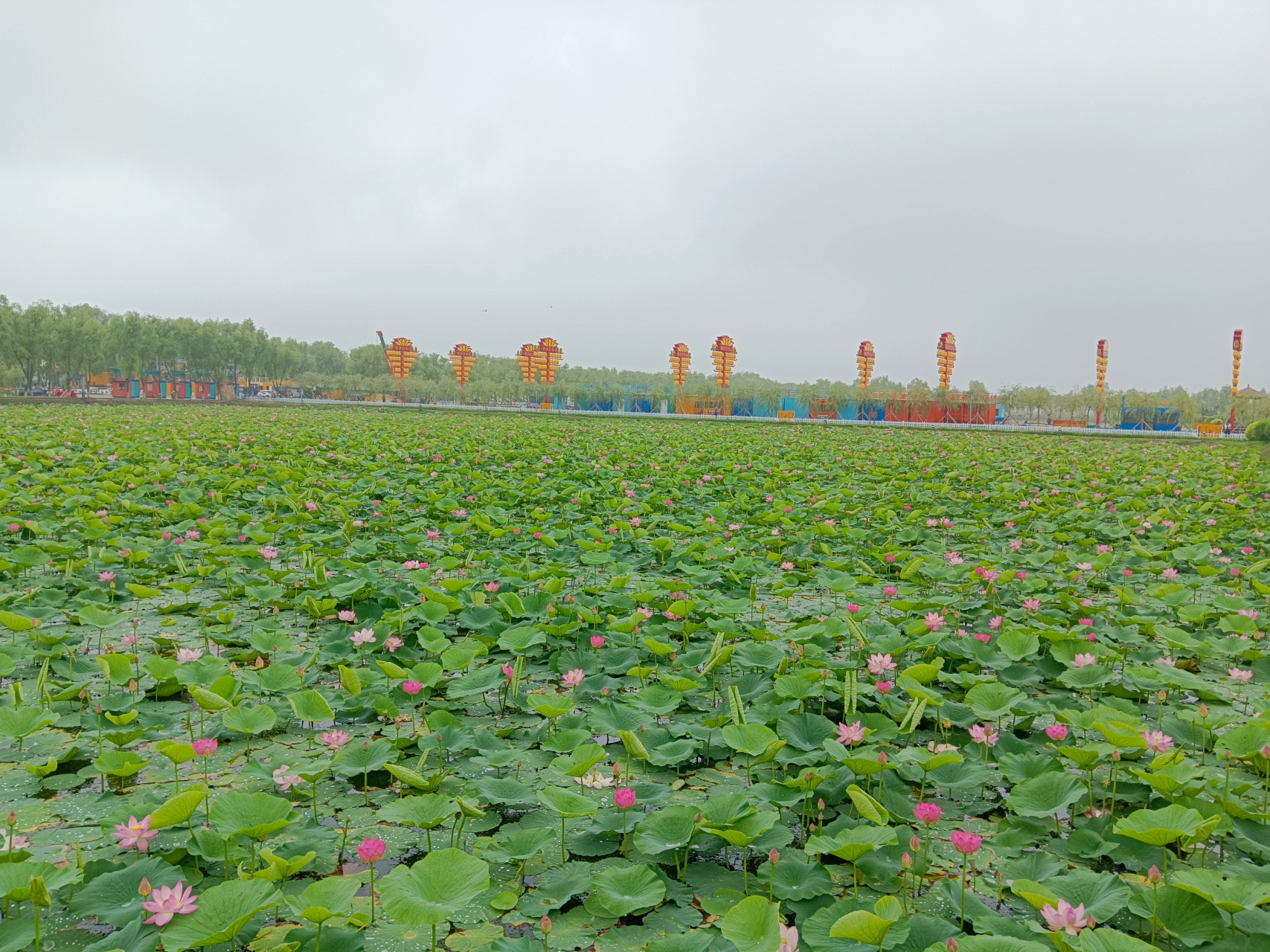 肇源西海湿地公园