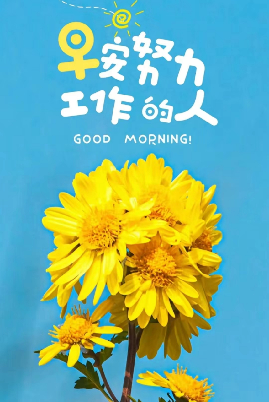 早安心语# 向日葵不论什么样的天气,它都会奔着自己选择的方向去吵い