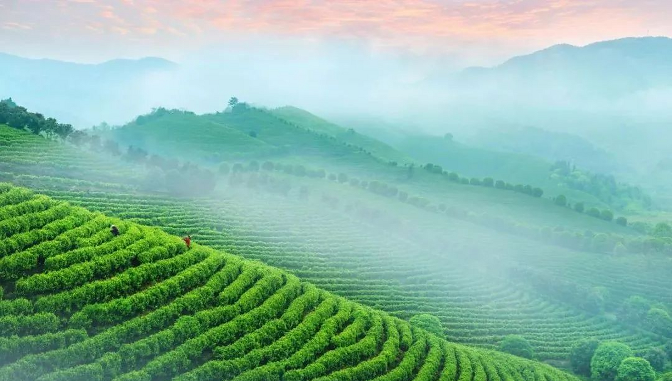 宝藏创作者计划# 天云山位于信阳市浉河区董家河镇塔耳湾村,山势陡峭