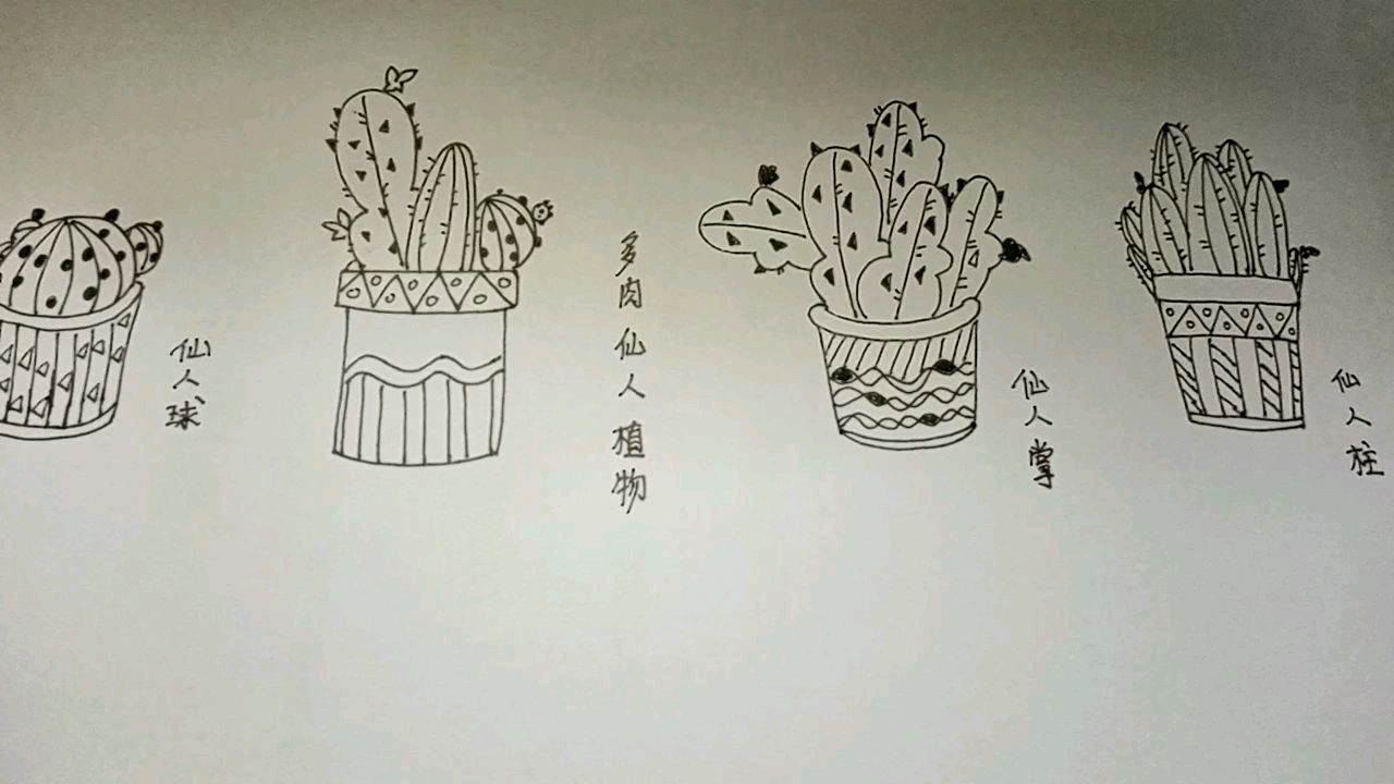多肉仙人球植物的各种简笔画法