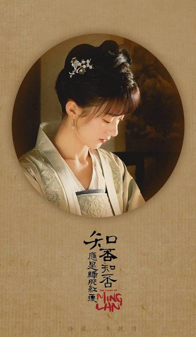 这部《知否知否应是绿肥红瘦》看了又看!